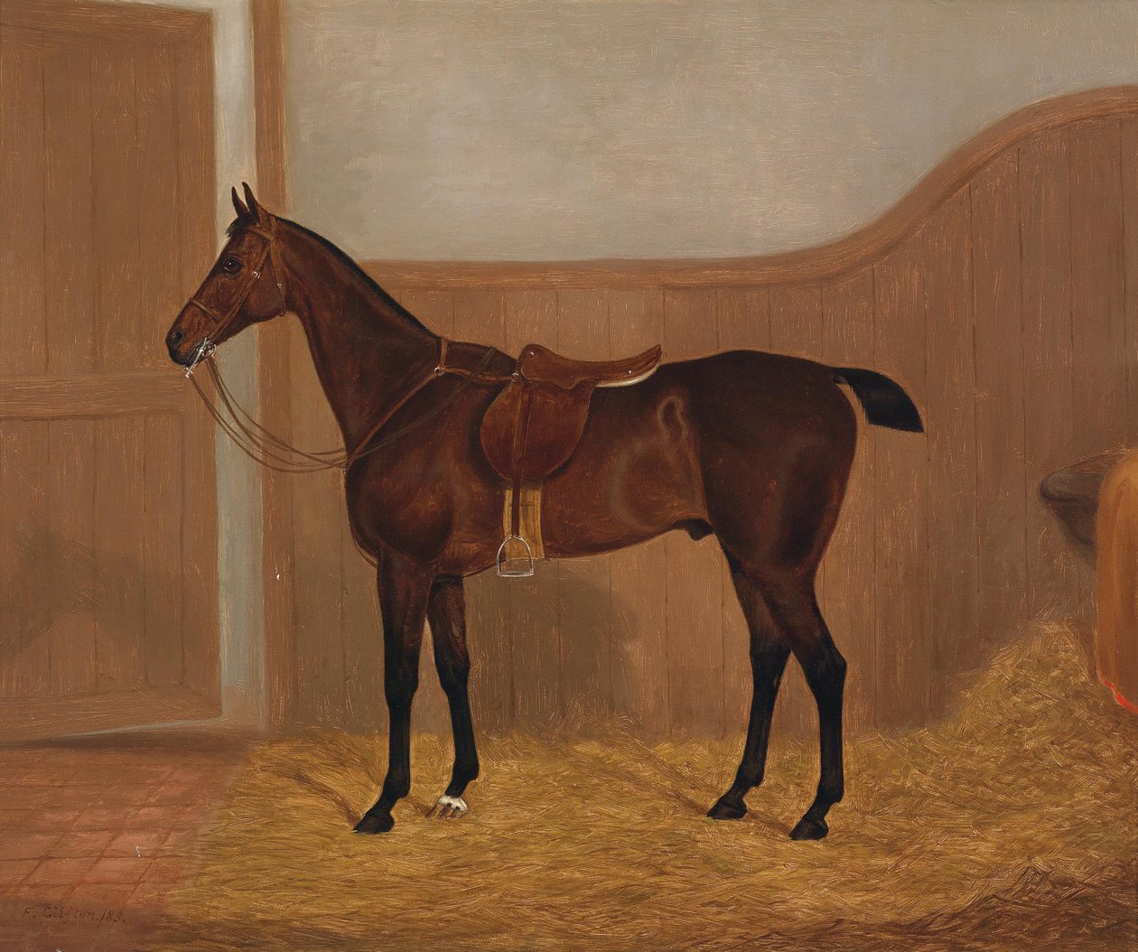 Ritratto di cavallo (Fireland o Cocktail, uno dei due dipinti offerti in un lotto con queste denominazioni) da F. Clifton