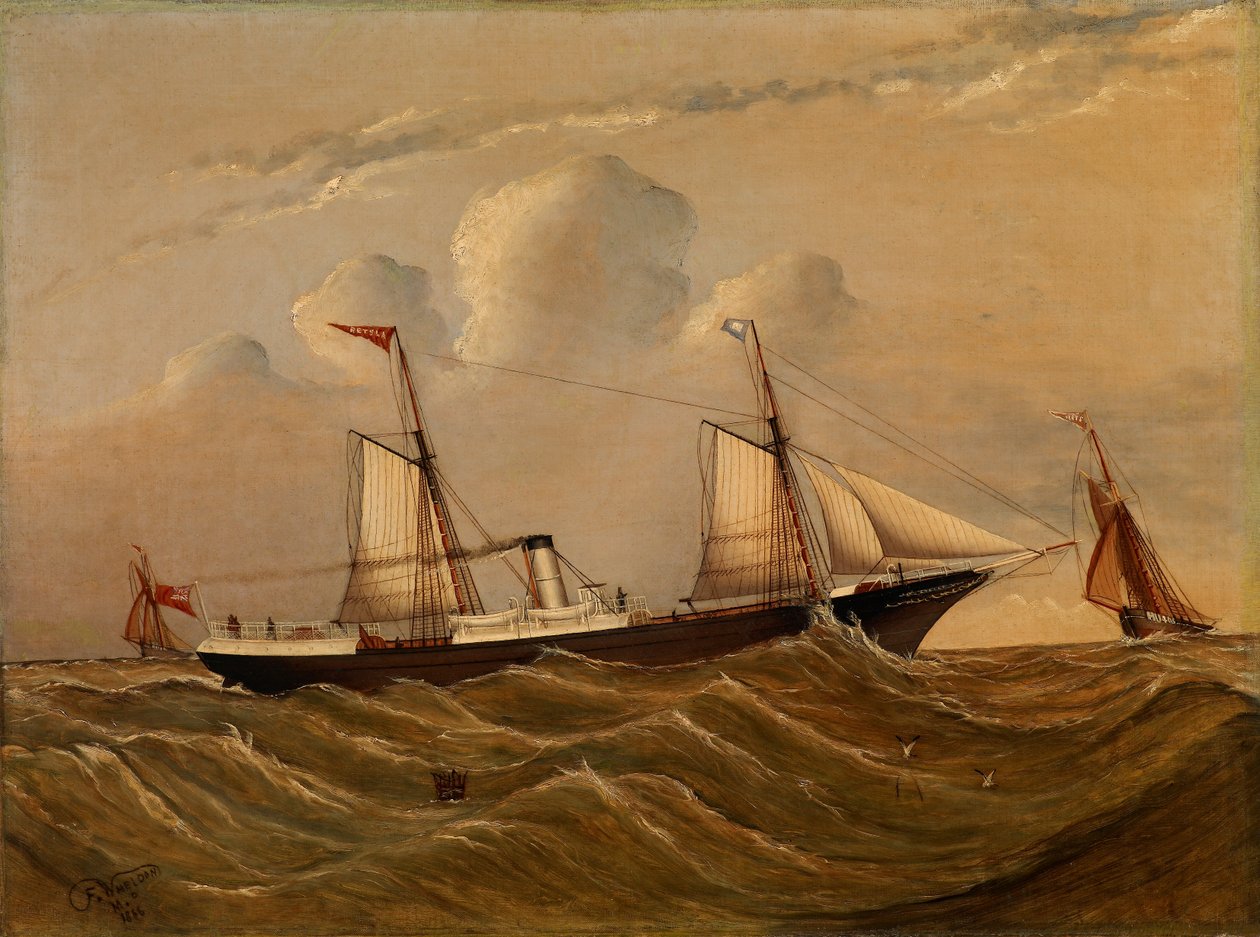 Piroscafo Alster da F.M.P. Wheldon