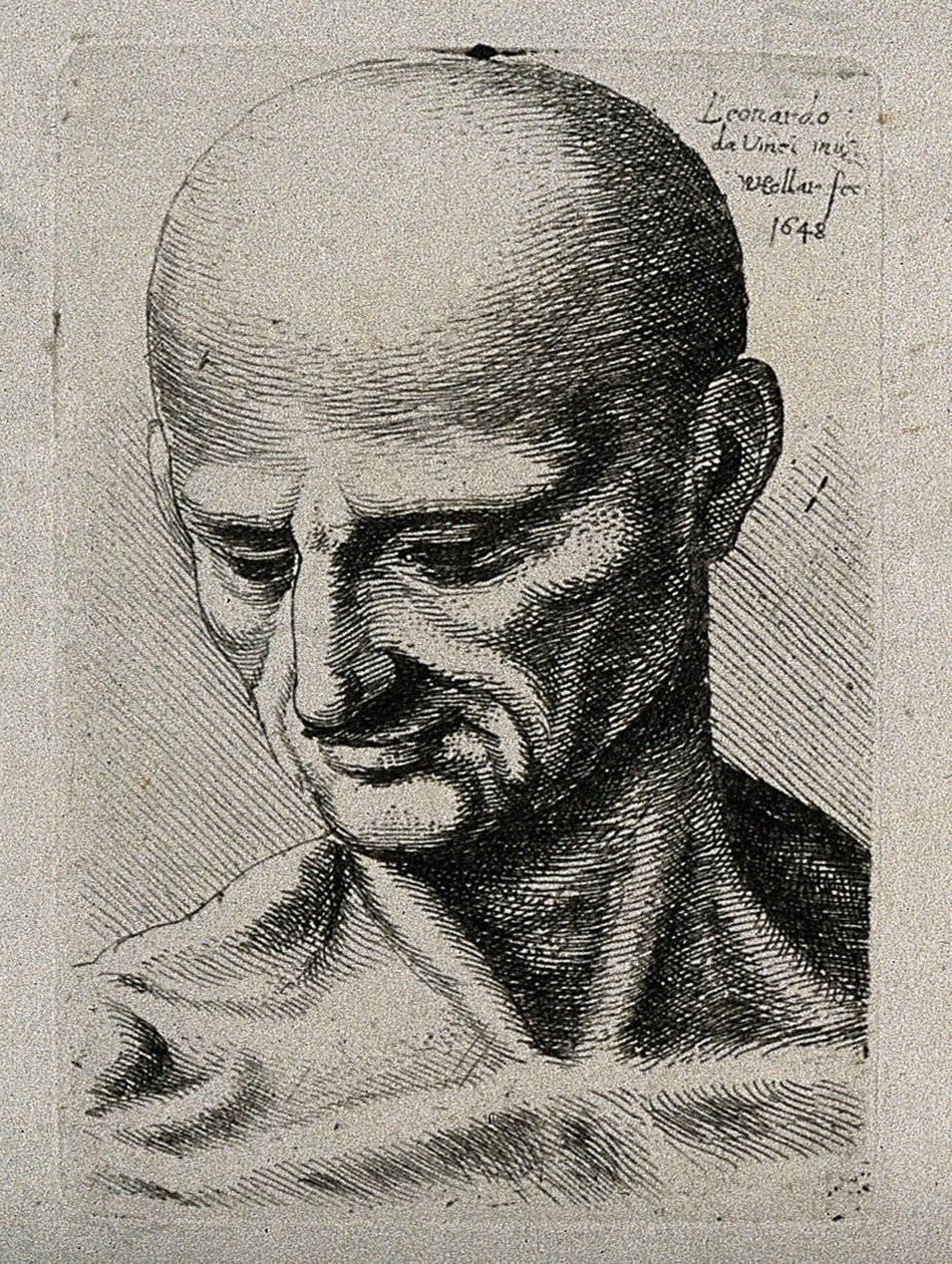 Busto di un Uomo Magro, che Guarda in Basso a Destra da Leonardo da Vinci
