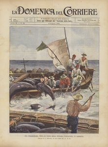 Una straordinaria pesca di tonno nella tonnara d