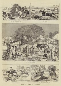 Caccia al cinghiale in Bengala
