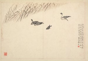 Album di calligrafia e dipinti, XVIII secolo