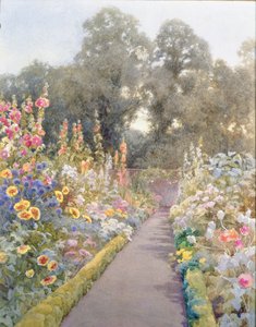 Sentiero del giardino con malvarose e papaveri