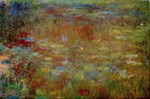 Lo stagno delle ninfee
