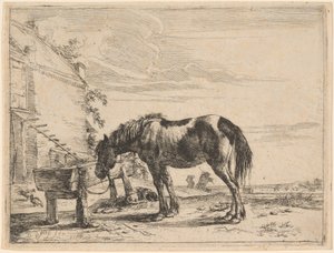 Un cavallo legato a una mangiatoia