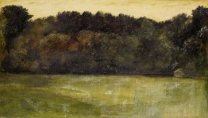 Paesaggio - Studio, 1863