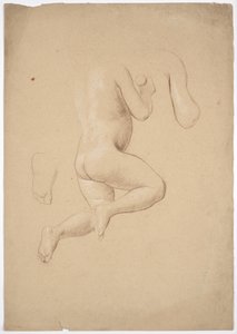 Studio della legge sui bambini