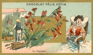 Digitale