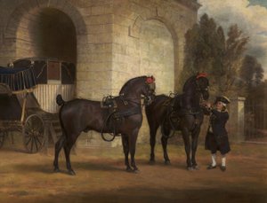 Due cavalli da carrozza neri con un cocchiere