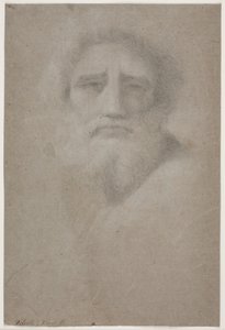 Testa di uomo barbuto