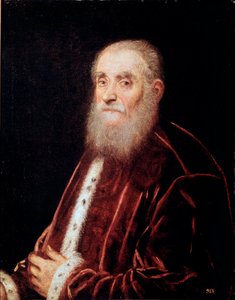 Ritratto di senatore veneziano
