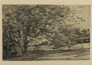 Studio di alberi, 1870