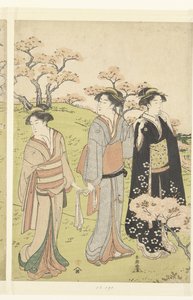 Ammirare i fiori di ciliegio ad Asukayama