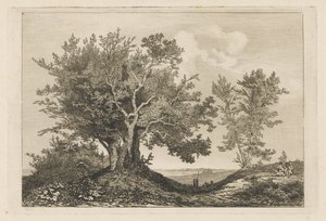 Strada di campagna tra due filari di alberi