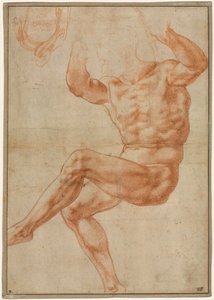 Studio per il Giovane Nudo sopra il Profeta Daniele (recto), 1510-1511