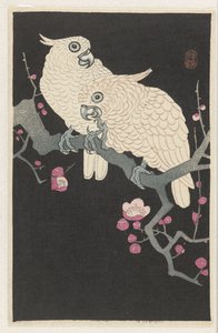 Due cacatua e fiori di pruno