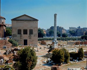 Foro Romano: vista della Curia