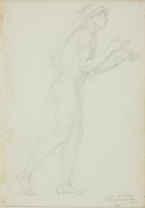 Studio per Pellegrino in Romaunt of the Rose