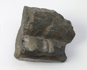Frammento di un piedistallo di loto da Tang Dynasty Chinese School