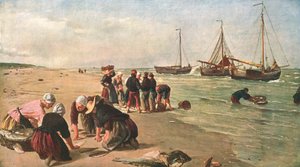 Pesci dalla Dogger Bank, Scheveningen, Olanda, 1870, c1902
