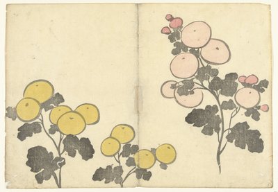 Fiori gialli e rosa stilizzati da Nakamura Hochu
